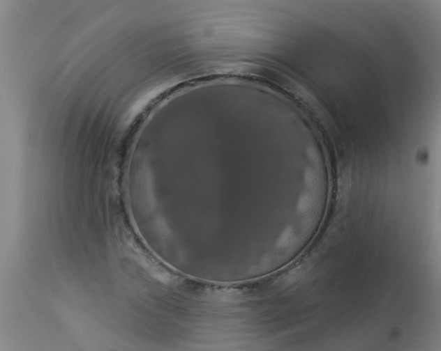 X0000112911019200909071530