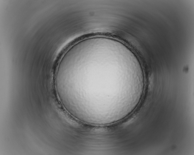 X0000112911021200909071530