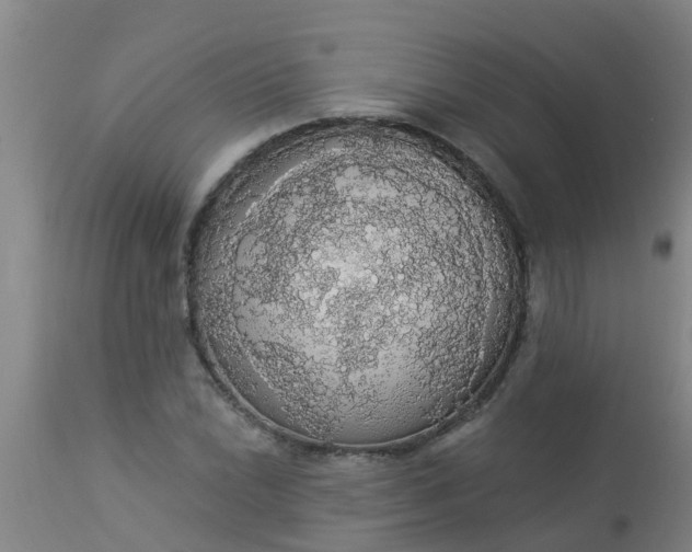 X0000112911022200909071530