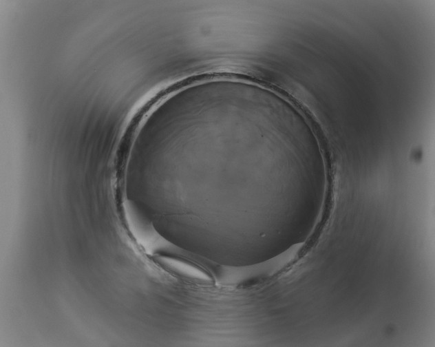 X0000112911024200909071530