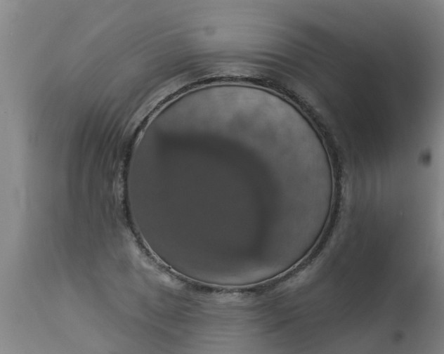 X0000112911025200909071530