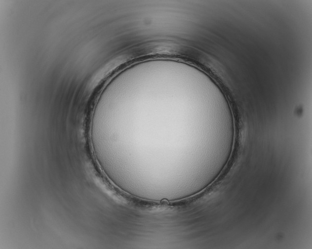 X0000112911026200909071530