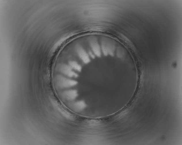 X0000112911027200909071530