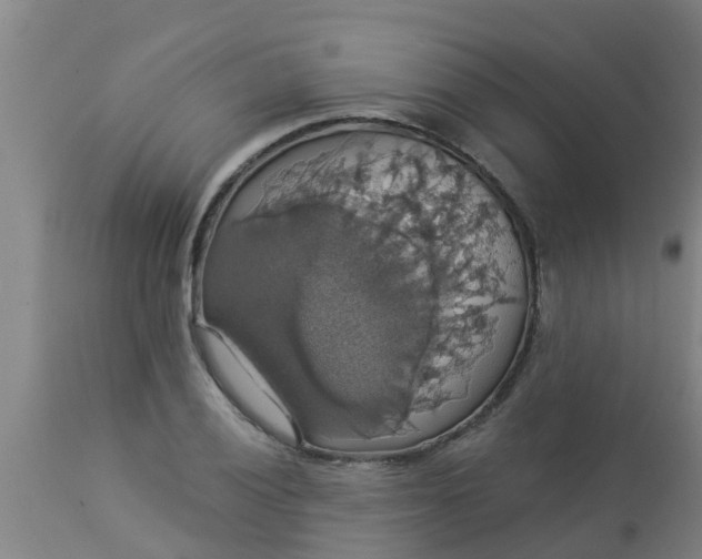 X0000112911028200909071530