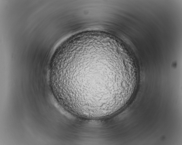 X0000112911029200909071530