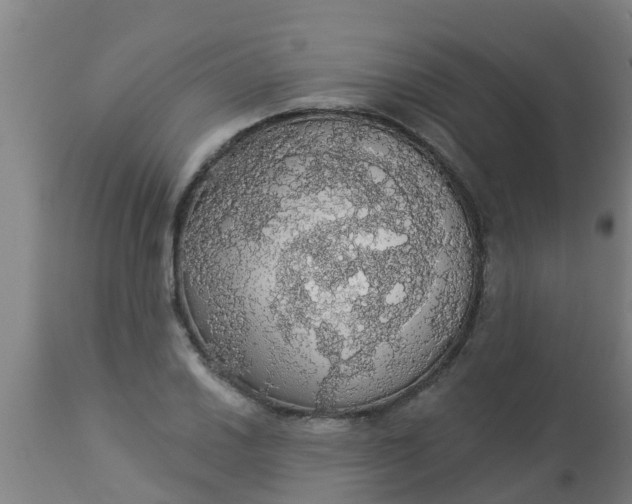 X0000112911030200909071530