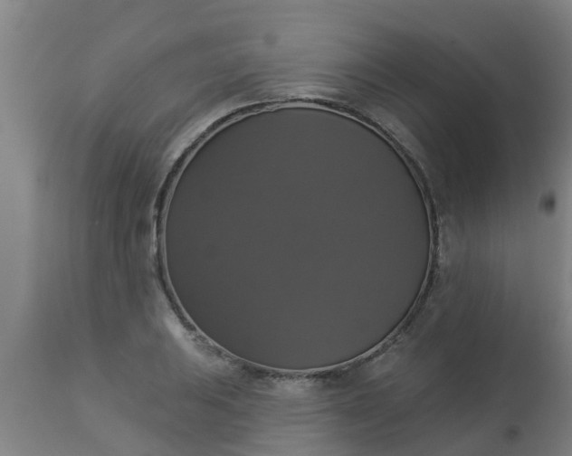 X0000112911031200909071530