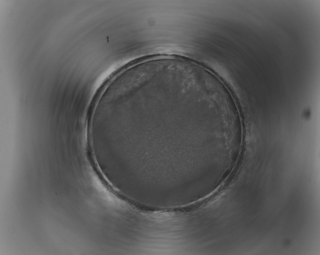 X0000112911032200909071530