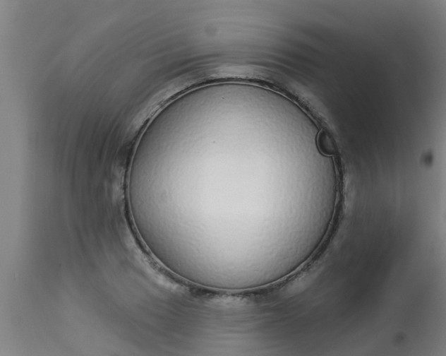 X0000112911033200909071530