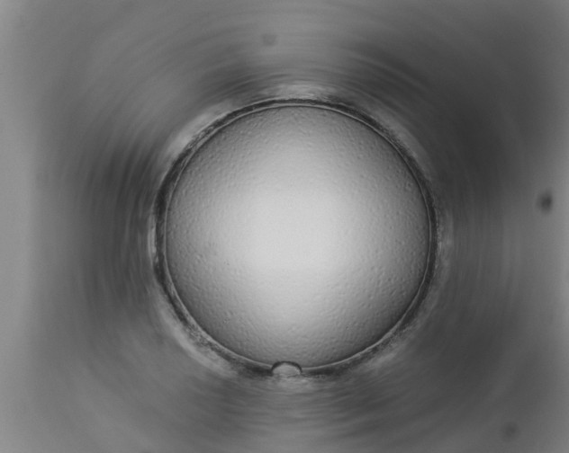 X0000112911034200909071530