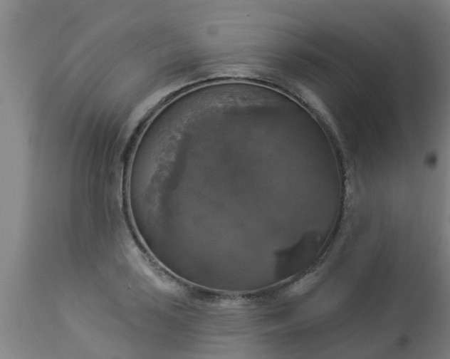 X0000112911035200909071530