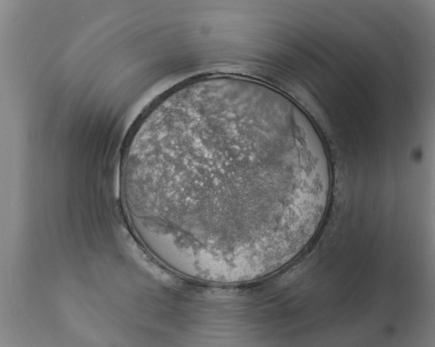 X0000112911036200909071530