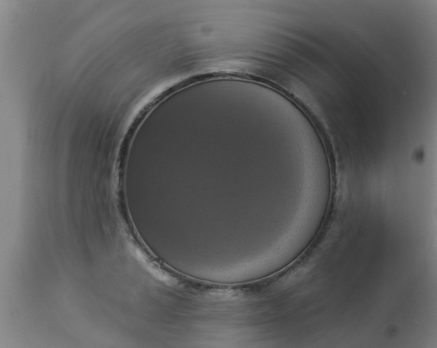 X0000112911037200909071530