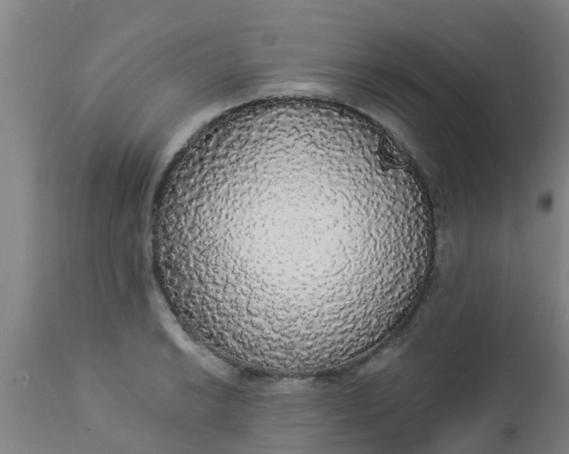 X0000112911038200909071530