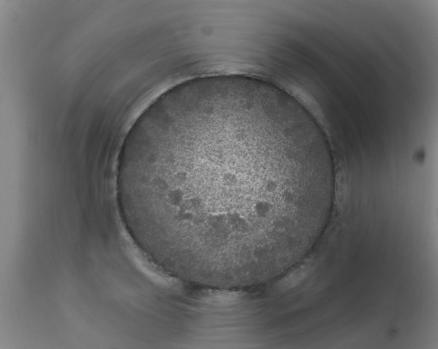 X0000112911039200909071530