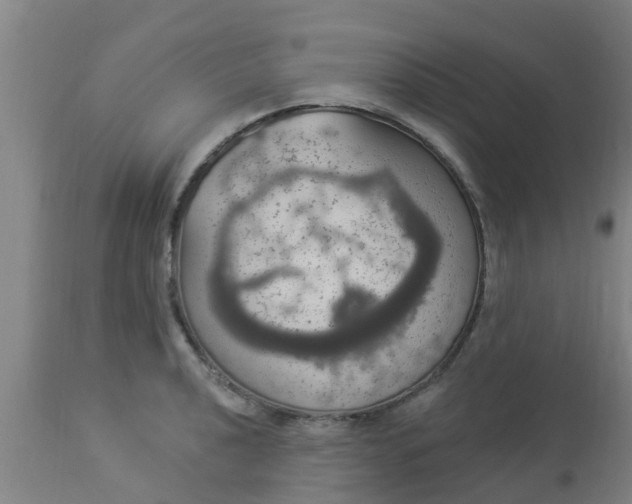 X0000112911040200909071530