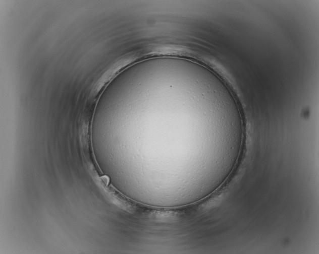 X0000112911041200909071530