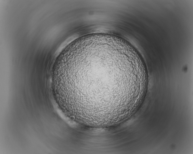 X0000112911042200909071530