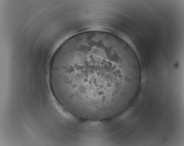 X0000112911043200909071530