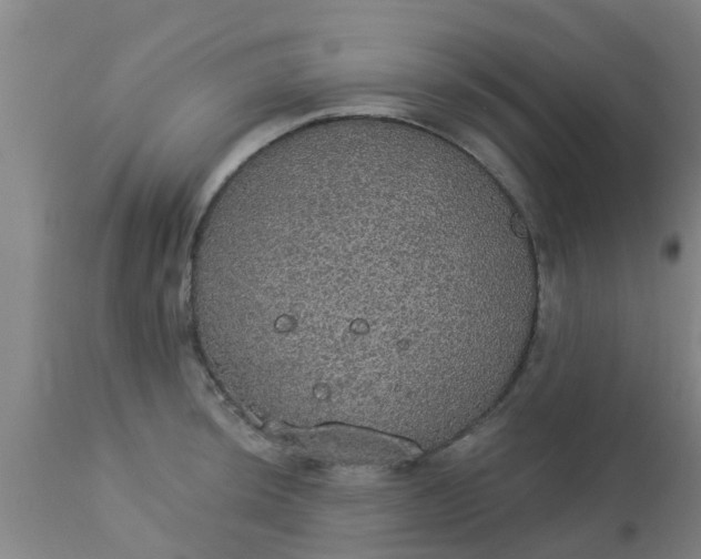 X0000112911044200909071530