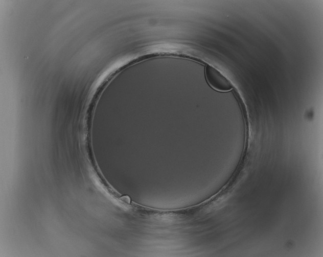 X0000112911045200909071530