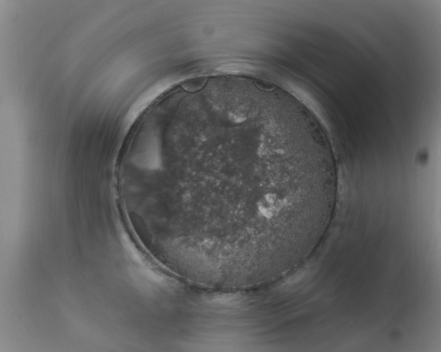 X0000112911047200909071530