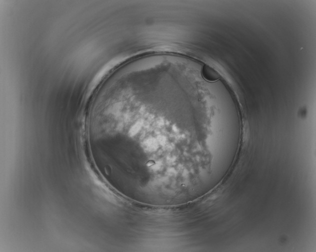 X0000112911048200909071530