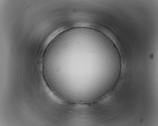 X0000112911050200909071530