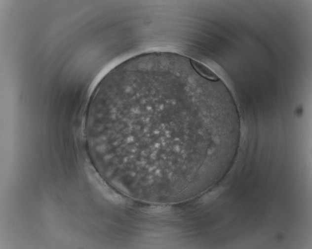 X0000112911052200909071530