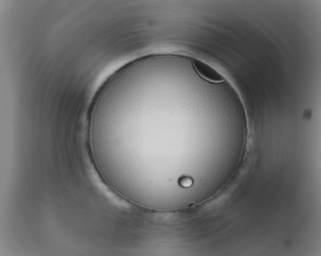 X0000112911053200909071530