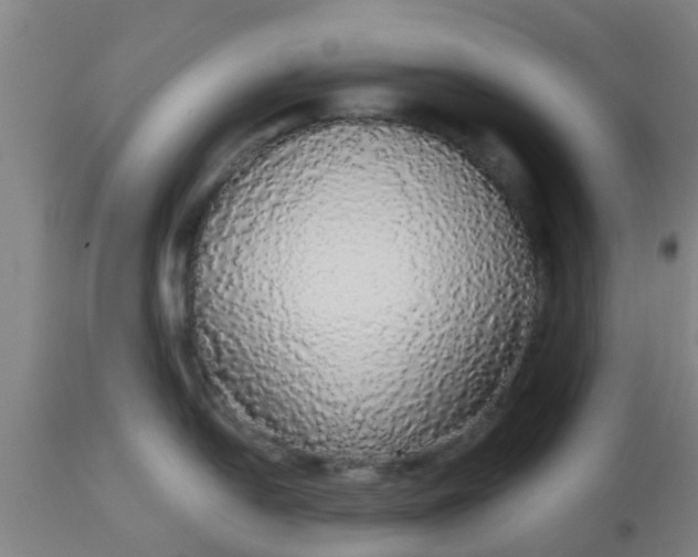 X0000112911054200909071530