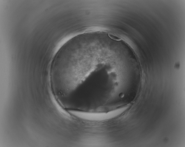 X0000112911055200909071530