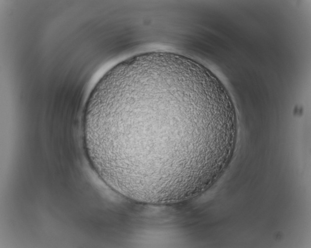 X0000112911056200909071530