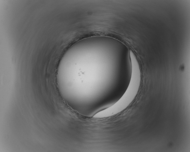 X0000112911057200909071529