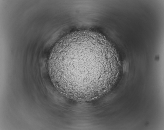 X0000112911059200909071529