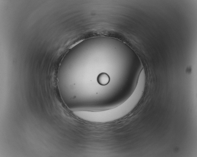 X0000112911060200909071529