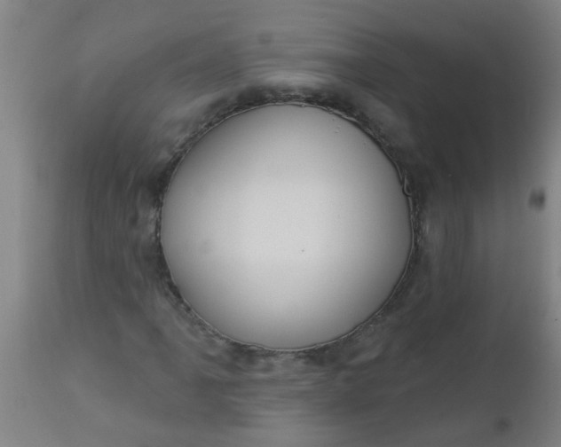 X0000112911061200909071529