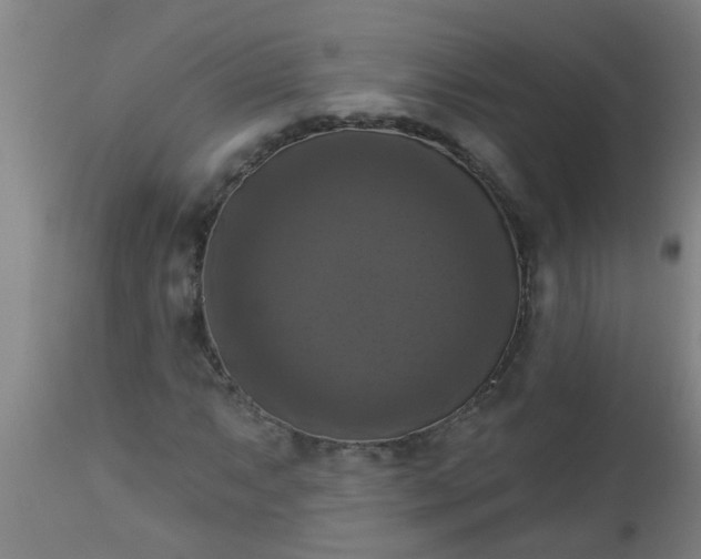 X0000112911063200909071529