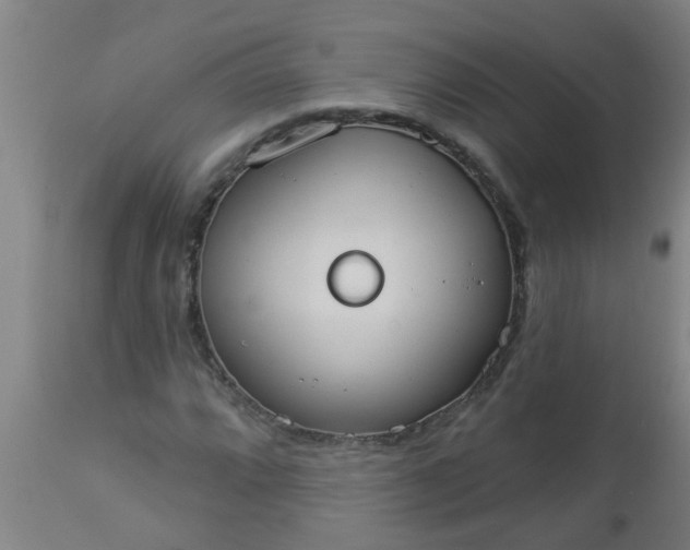 X0000112911064200909071529