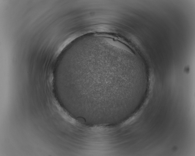 X0000112911065200909071529