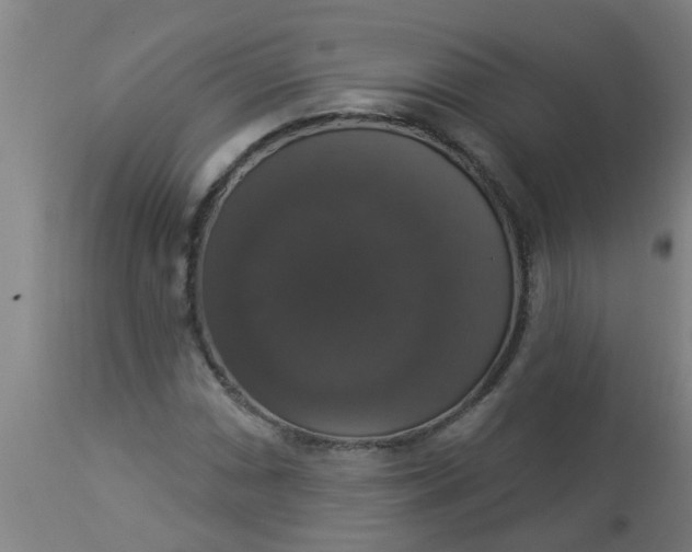 X0000112911066200909071529