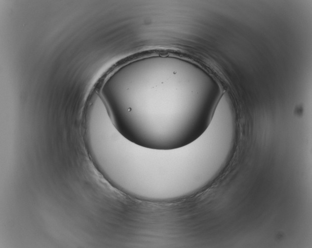 X0000112911068200909071529