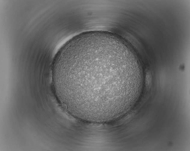 X0000112911069200909071529