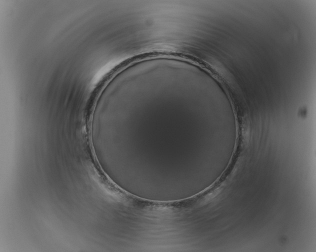 X0000112911070200909071529