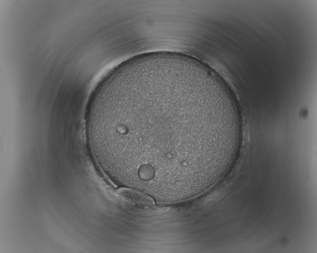 X0000112911072200909071529