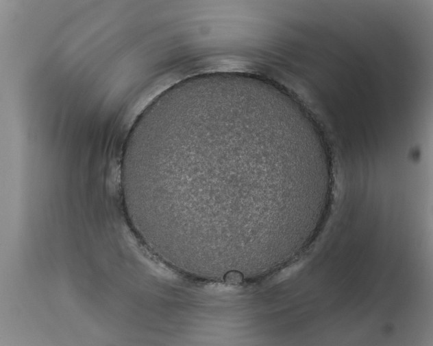 X0000112911073200909071529