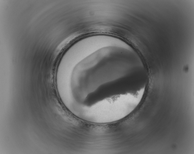 X0000112911074200909071529