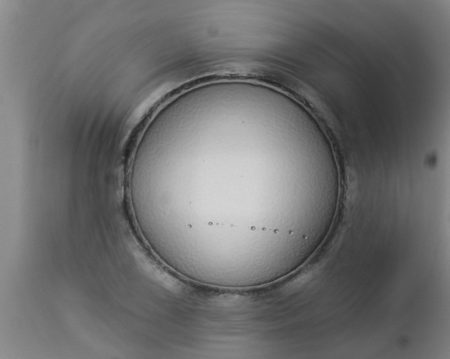 X0000112911075200909071529