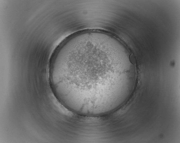 X0000112911076200909071529