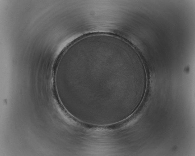 X0000112911077200909071529